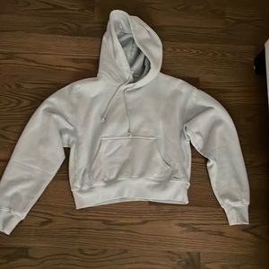 Aritzia hoodie